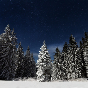 国产伦子伦一级A片免费看小说

