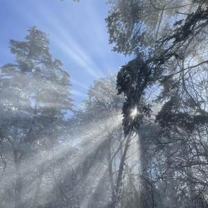 国产伦子伦一级A片免费看小说
